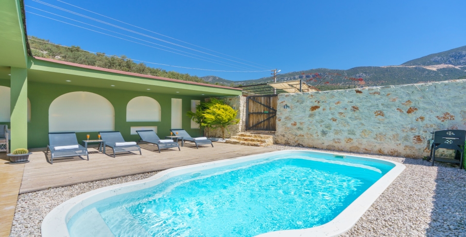 Villa Olive House
